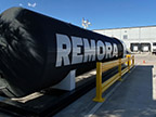 Remora